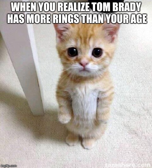 Cute Cat Meme | WHEN YOU REALIZE TOM BRADY HAS MORE RINGS THAN YOUR AGE | image tagged in memes,cute cat | made w/ Imgflip meme maker