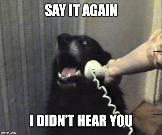 Yes this is dog | SAY IT AGAIN I DIDN’T HEAR YOU | image tagged in yes this is dog | made w/ Imgflip meme maker