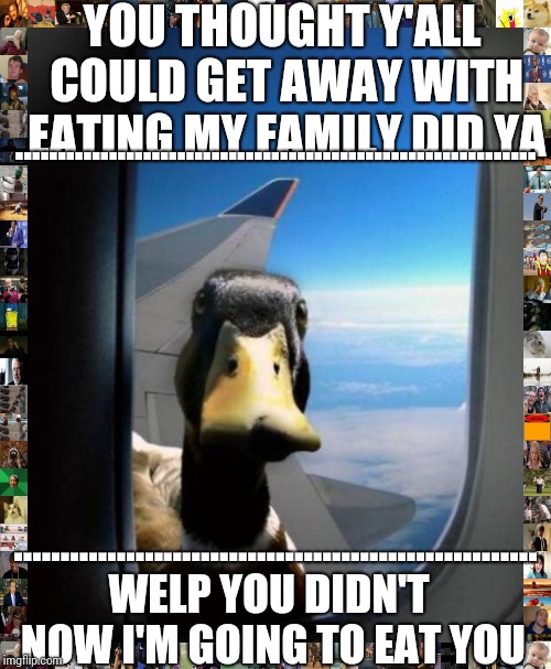 Duck on plane wing | YOU THOUGHT Y'ALL COULD GET AWAY WITH EATING MY FAMILY DID YA; ............................................................. ........................................................ WELP YOU DIDN'T NOW I'M GOING TO EAT YOU | image tagged in duck on plane wing | made w/ Imgflip meme maker