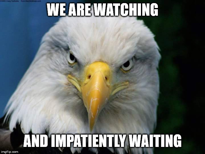 American Bald Eagle | WE ARE WATCHING; AND IMPATIENTLY WAITING | image tagged in american bald eagle | made w/ Imgflip meme maker