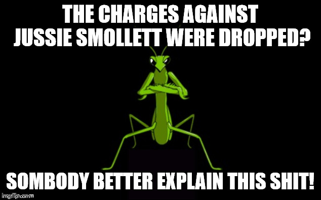 Preying Mantis | THE CHARGES AGAINST JUSSIE SMOLLETT WERE DROPPED? SOMBODY BETTER EXPLAIN THIS SHIT! | image tagged in preying mantis | made w/ Imgflip meme maker