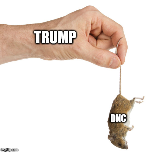 raton | TRUMP; DNC | image tagged in raton | made w/ Imgflip meme maker