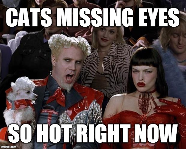 Mugatu So Hot Right Now | CATS MISSING EYES; SO HOT RIGHT NOW | image tagged in memes,mugatu so hot right now,AdviceAnimals | made w/ Imgflip meme maker