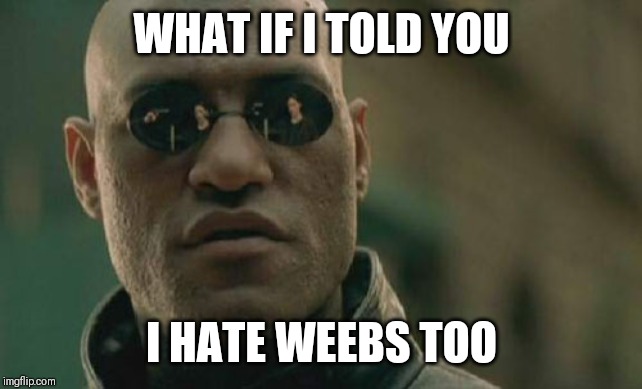 Matrix Morpheus Meme | WHAT IF I TOLD YOU I HATE WEEBS TOO | image tagged in memes,matrix morpheus | made w/ Imgflip meme maker