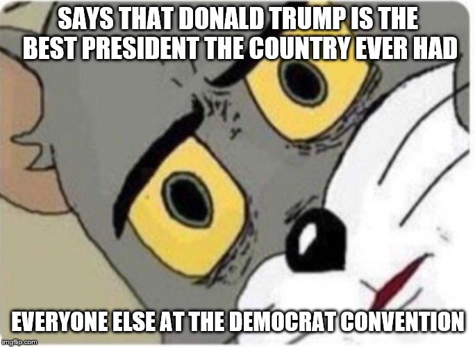Tom and Jerry meme | SAYS THAT DONALD TRUMP IS THE BEST PRESIDENT THE COUNTRY EVER HAD; EVERYONE ELSE AT THE DEMOCRAT CONVENTION | image tagged in tom and jerry meme | made w/ Imgflip meme maker