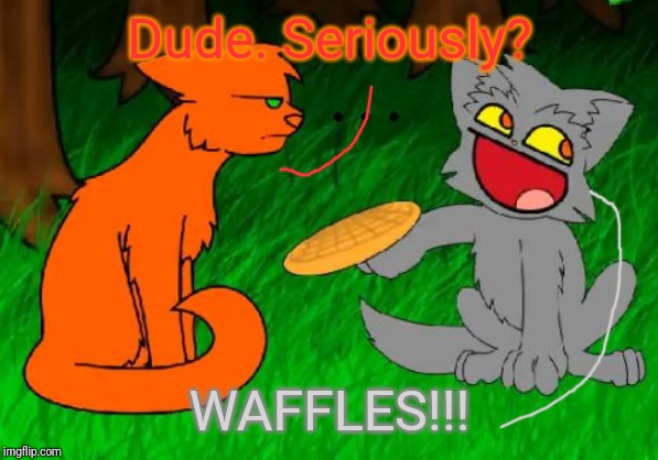 Firestar doesn't like waffles | Dude. Seriously? WAFFLES!!! | image tagged in firestar doesn't like waffles | made w/ Imgflip meme maker