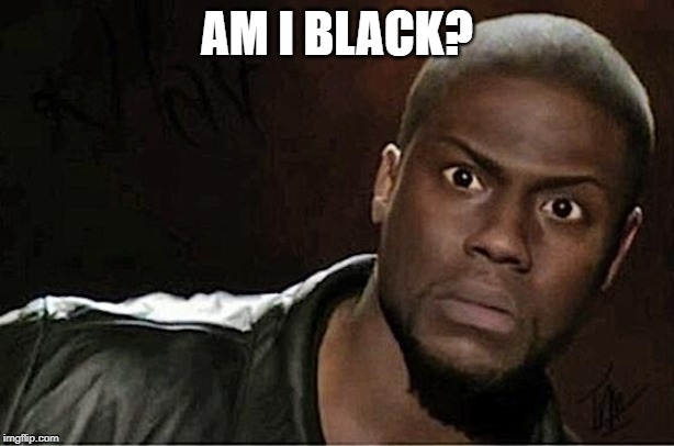 Kevin Hart | AM I BLACK? | image tagged in memes,kevin hart | made w/ Imgflip meme maker