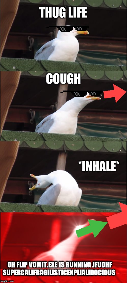 Inhaling Seagull Meme | THUG LIFE; COUGH; *INHALE*; OH FLIP VOMIT.EXE IS RUNNING
JFUDHF SUPERCALIFRAGILISTICEXPLIALIDOCIOUS | image tagged in memes,inhaling seagull | made w/ Imgflip meme maker