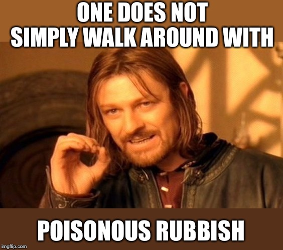 One Does Not Simply Meme | ONE DOES NOT SIMPLY WALK AROUND WITH POISONOUS RUBBISH | image tagged in memes,one does not simply | made w/ Imgflip meme maker