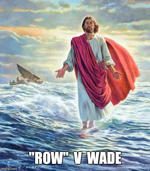 Walking on Water | "ROW"  V  WADE | image tagged in walking on water | made w/ Imgflip meme maker