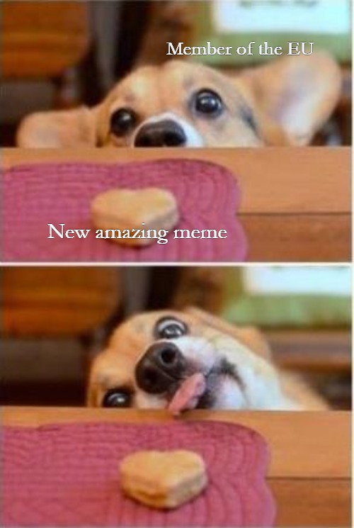 So close.. | Member of the EU; New amazing meme | image tagged in dog,article 13,funny meme | made w/ Imgflip meme maker