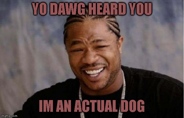Lol | YO DAWG HEARD YOU; IM AN ACTUAL DOG | image tagged in memes,yo dawg heard you | made w/ Imgflip meme maker