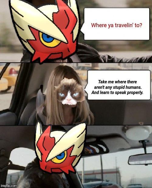 I'm in me teacher's car. BEEP BEEP!  | Where ya travelin' to? Take me where there aren't any stupid humans. And learn to speak properly. | image tagged in blaze the blaziken driving,blaze the blaziken,grumpy cat | made w/ Imgflip meme maker