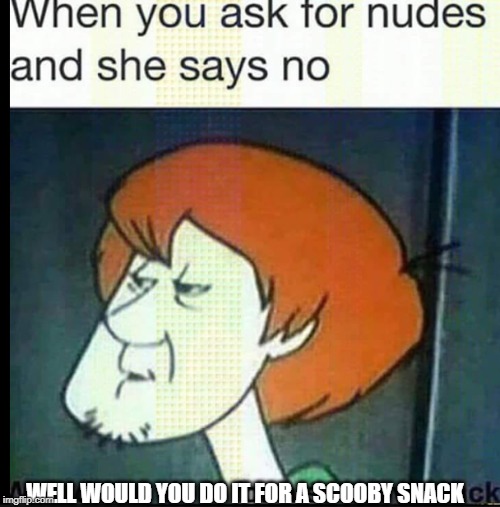 WELL WOULD YOU DO IT FOR A SCOOBY SNACK | image tagged in shaggydoo | made w/ Imgflip meme maker