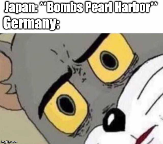 Tom Cat Unsettled Close up | Japan: **Bombs Pearl Harbor**; Germany: | image tagged in tom cat unsettled close up | made w/ Imgflip meme maker