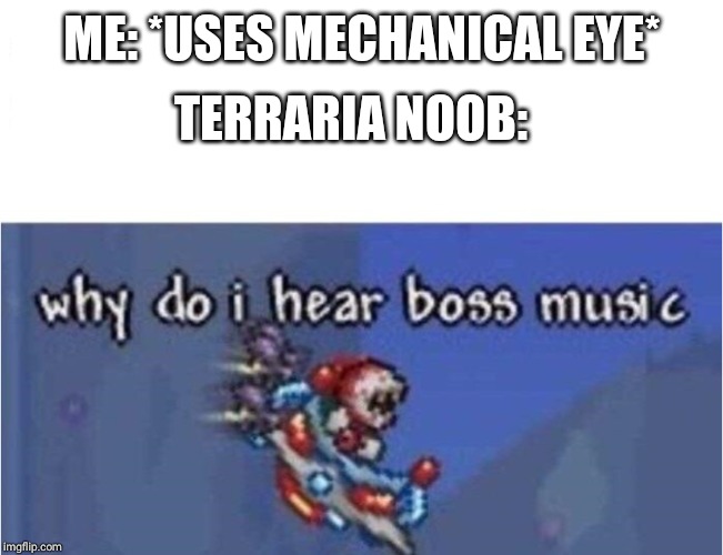 why do i hear boss music | TERRARIA NOOB:; ME: *USES MECHANICAL EYE* | image tagged in why do i hear boss music | made w/ Imgflip meme maker