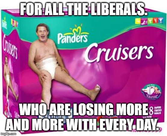 Liberals | FOR ALL THE LIBERALS. WHO ARE LOSING MORE AND MORE WITH EVERY DAY. | image tagged in diaper man,stupid liberals | made w/ Imgflip meme maker