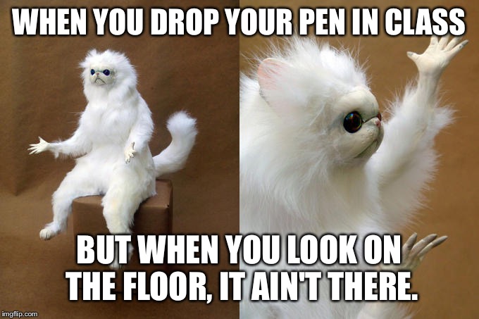 Persian Cat Room Guardian | WHEN YOU DROP YOUR PEN IN CLASS; BUT WHEN YOU LOOK ON THE FLOOR, IT AIN'T THERE. | image tagged in memes,persian cat room guardian | made w/ Imgflip meme maker