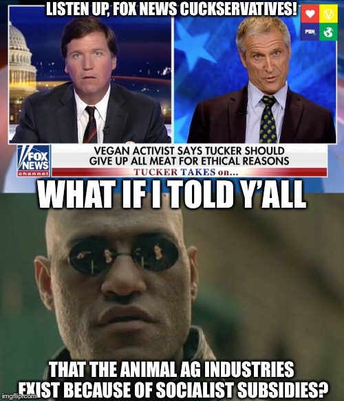 LISTEN UP, FOX NEWS CUCKSERVATIVES! WHAT IF I TOLD Y’ALL; THAT THE ANIMAL AG INDUSTRIES EXIST BECAUSE OF SOCIALIST SUBSIDIES? | image tagged in memes,matrix morpheus | made w/ Imgflip meme maker