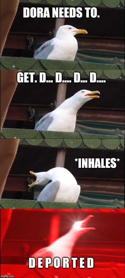 Inhaling Seagull Meme | DORA NEEDS TO. GET. D... D.... D... D.... *INHALES* D E P O R T E D | image tagged in memes,inhaling seagull | made w/ Imgflip meme maker