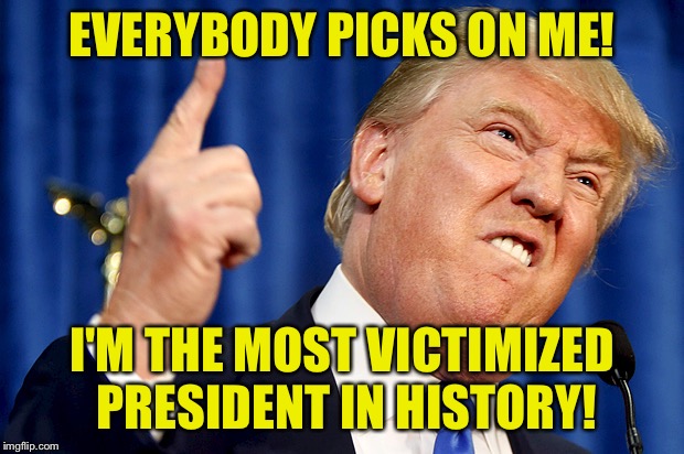 Donald Trump | EVERYBODY PICKS ON ME! I'M THE MOST VICTIMIZED PRESIDENT IN HISTORY! | image tagged in donald trump | made w/ Imgflip meme maker