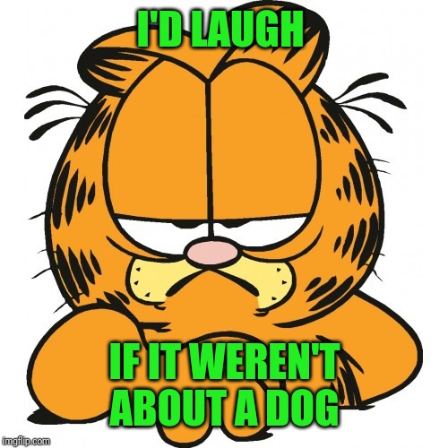 Garfield | I'D LAUGH IF IT WEREN'T ABOUT A DOG | image tagged in garfield | made w/ Imgflip meme maker