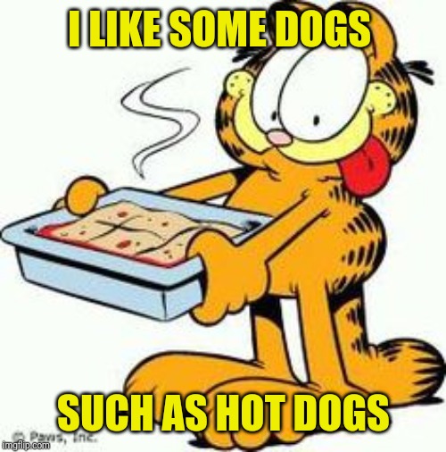 Garfield Lasagna | I LIKE SOME DOGS SUCH AS HOT DOGS | image tagged in garfield lasagna | made w/ Imgflip meme maker