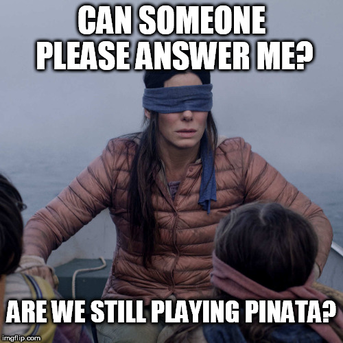 Bird Box | CAN SOMEONE PLEASE ANSWER ME? ARE WE STILL PLAYING PINATA? | image tagged in memes,bird box | made w/ Imgflip meme maker