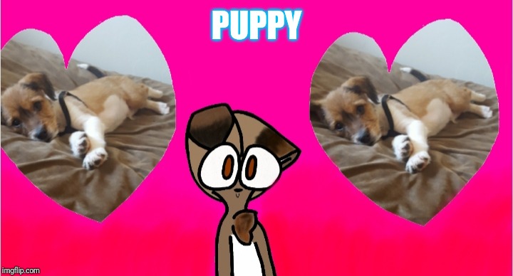 PUPPY | made w/ Imgflip meme maker