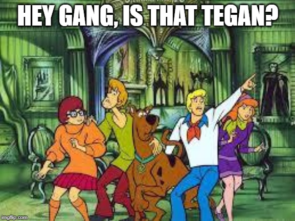 Scooby Doo | HEY GANG, IS THAT TEGAN? | image tagged in scooby doo | made w/ Imgflip meme maker