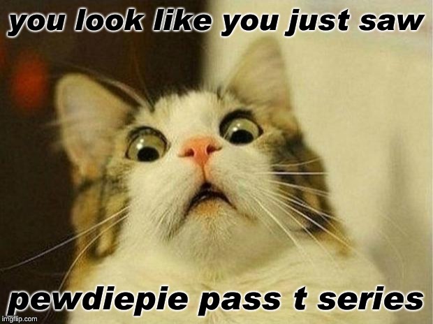 Scared Cat | you look like you just saw; pewdiepie pass t series | image tagged in memes,scared cat | made w/ Imgflip meme maker