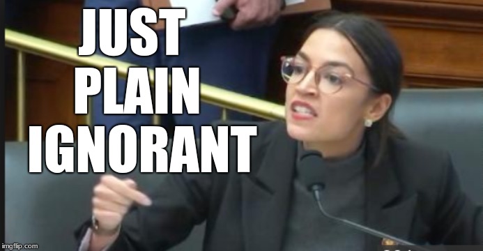  JUST  PLAIN  IGNORANT | image tagged in aoc,just plain ignorant | made w/ Imgflip meme maker