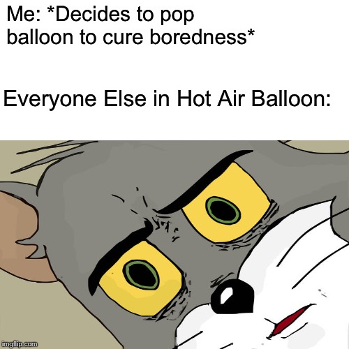 True Story Tho | Me: *Decides to pop balloon to cure boredness*; Everyone Else in Hot Air Balloon: | image tagged in memes,unsettled tom,hot air balloon | made w/ Imgflip meme maker