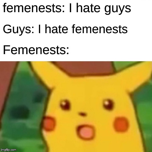 Surprised Pikachu Meme | femenests: I hate guys; Guys: I hate femenests; Femenests: | image tagged in memes,surprised pikachu | made w/ Imgflip meme maker