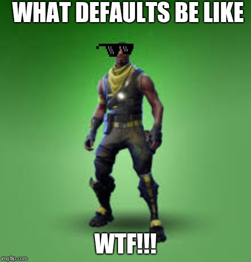 fornite skin | WHAT DEFAULTS BE LIKE; WTF!!! | image tagged in fornite skin | made w/ Imgflip meme maker