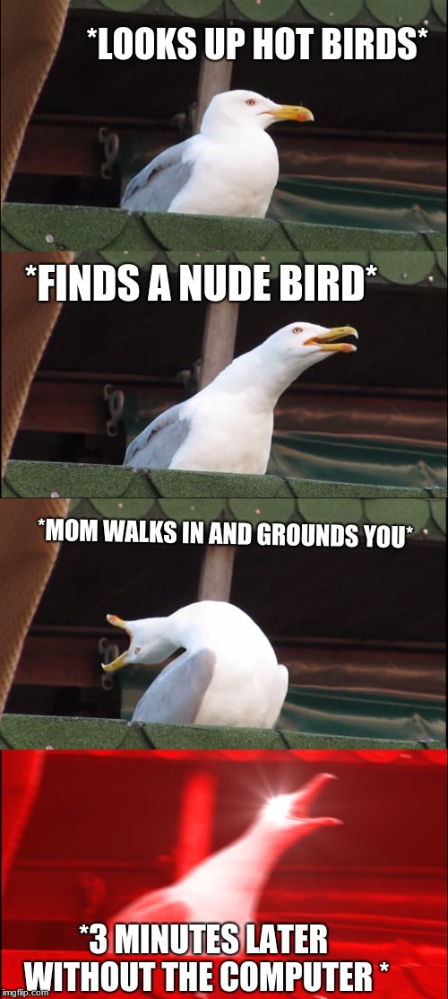 Inhaling Seagull | *LOOKS UP HOT BIRDS*; *FINDS A NUDE BIRD*; *MOM WALKS IN AND GROUNDS YOU*; *3 MINUTES LATER WITHOUT THE COMPUTER
* | image tagged in memes,inhaling seagull | made w/ Imgflip meme maker
