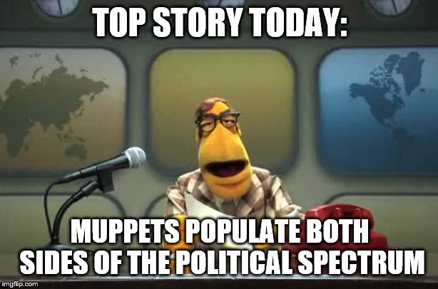 Muppet News Flash | TOP STORY TODAY: MUPPETS POPULATE BOTH SIDES OF THE POLITICAL SPECTRUM | image tagged in muppet news flash | made w/ Imgflip meme maker