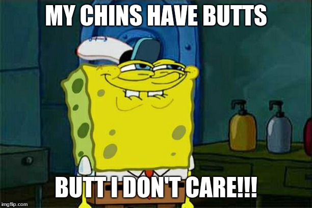 Don't You Squidward Meme | MY CHINS HAVE BUTTS; BUTT I DON'T CARE!!! | image tagged in memes,dont you squidward | made w/ Imgflip meme maker