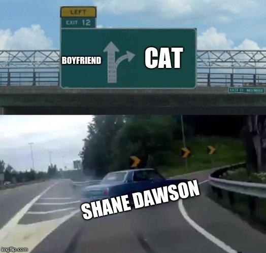 Left Exit 12 Off Ramp Meme | CAT; BOYFRIEND; SHANE DAWSON | image tagged in memes,left exit 12 off ramp | made w/ Imgflip meme maker