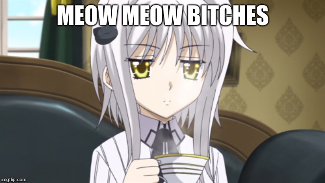 koneko | MEOW MEOW B**CHES | image tagged in koneko | made w/ Imgflip meme maker