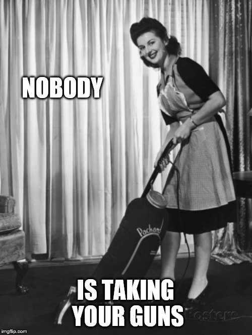 50's Housework | NOBODY IS TAKING YOUR GUNS | image tagged in 50's housework | made w/ Imgflip meme maker