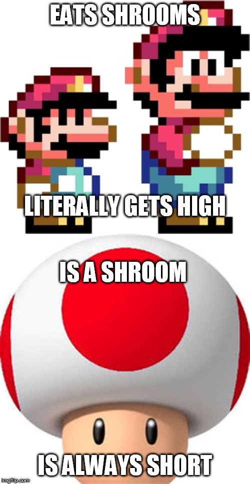 EATS SHROOMS; LITERALLY GETS HIGH; IS A SHROOM; IS ALWAYS SHORT | image tagged in mario | made w/ Imgflip meme maker