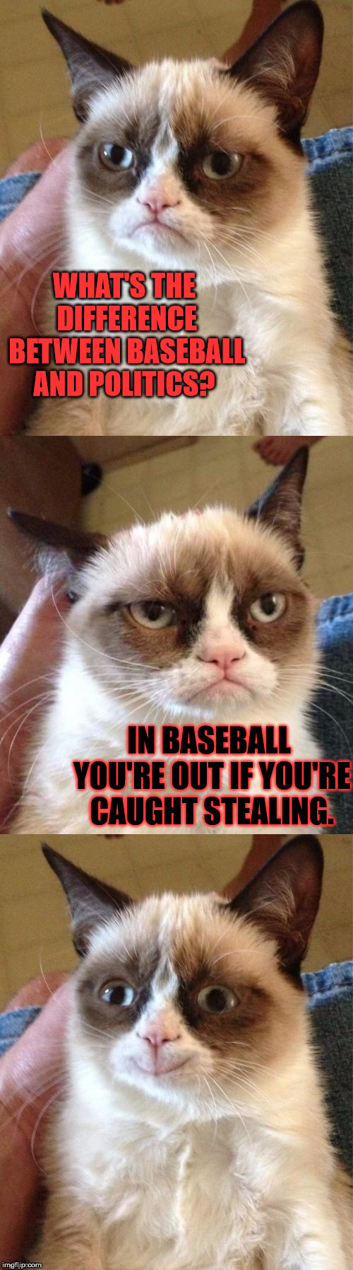 Fundamental differences | WHAT'S THE DIFFERENCE BETWEEN BASEBALL AND POLITICS? IN BASEBALL YOU'RE OUT IF YOU'RE CAUGHT STEALING. | image tagged in bad pun grumpy cat,funny,memes,politics,sports | made w/ Imgflip meme maker