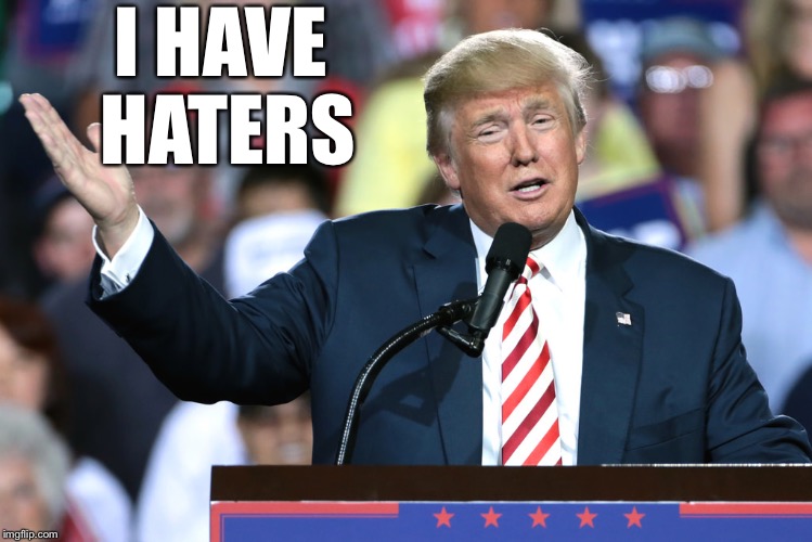 What do you got? | I HAVE HATERS | image tagged in trump hand,ginny,a triumph | made w/ Imgflip meme maker