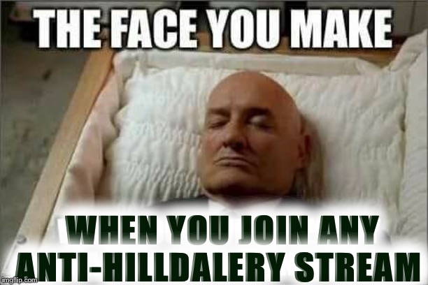 that face | WHEN YOU JOIN ANY ANTI-HILLDALERY STREAM | image tagged in that face | made w/ Imgflip meme maker