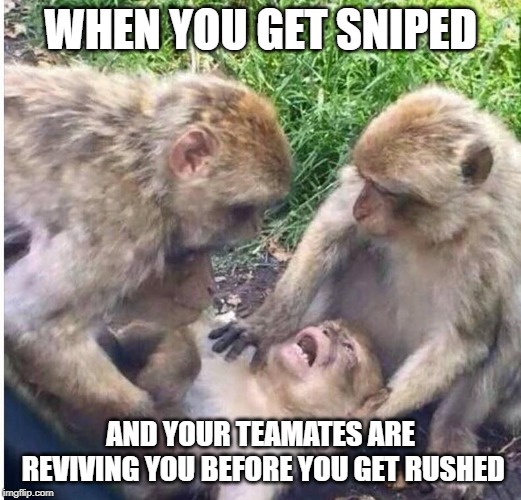 Shocked monkey | WHEN YOU GET SNIPED; AND YOUR TEAMATES ARE REVIVING YOU BEFORE YOU GET RUSHED | image tagged in shocked monkey | made w/ Imgflip meme maker