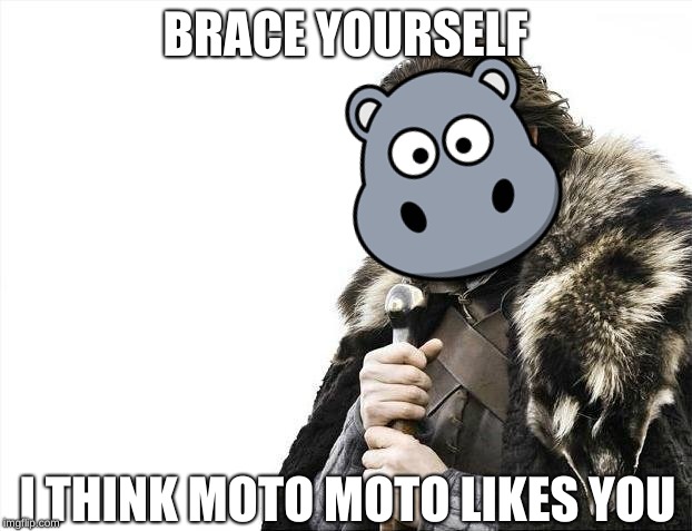 HERE HE COMES | BRACE YOURSELF; I THINK MOTO MOTO LIKES YOU | image tagged in brace yourselves x is coming,hippo | made w/ Imgflip meme maker