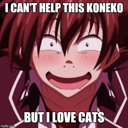 Pervert Issei | I CAN'T HELP THIS KONEKO BUT I LOVE CATS | image tagged in pervert issei | made w/ Imgflip meme maker