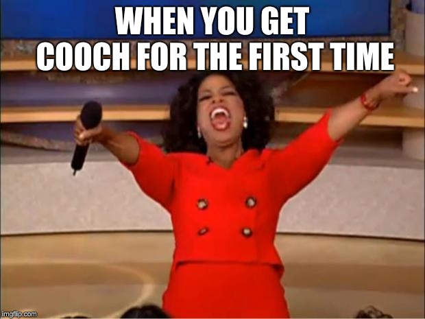 Oprah You Get A | WHEN YOU GET COOCH FOR THE FIRST TIME | image tagged in memes,oprah you get a | made w/ Imgflip meme maker
