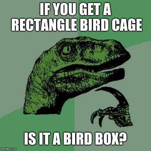 Philosoraptor Meme | IF YOU GET A RECTANGLE BIRD CAGE; IS IT A BIRD BOX? | image tagged in memes,philosoraptor | made w/ Imgflip meme maker